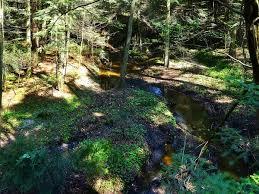 Rezerwat przyrody Sufraganiec